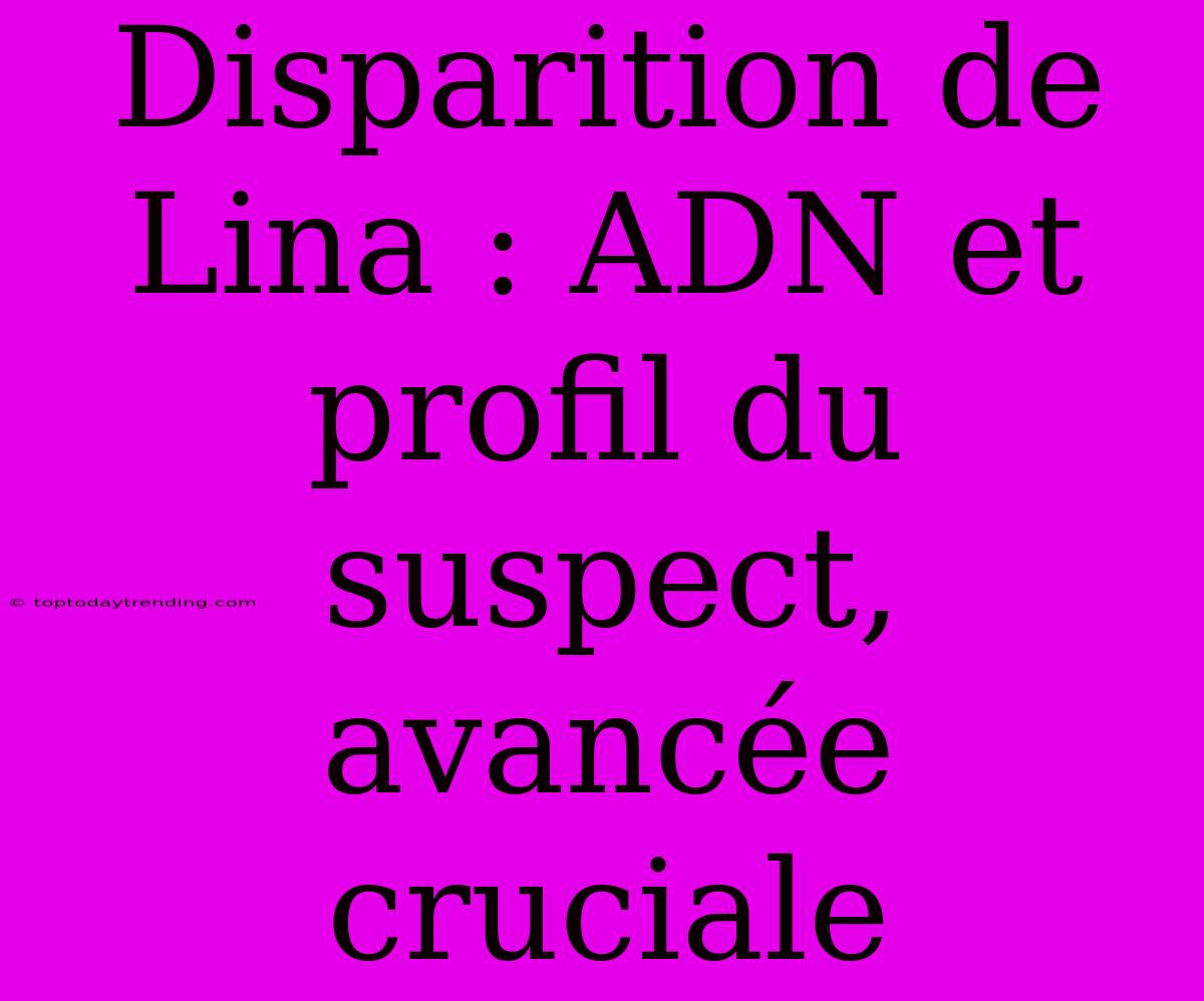 Disparition De Lina : ADN Et Profil Du Suspect, Avancée Cruciale