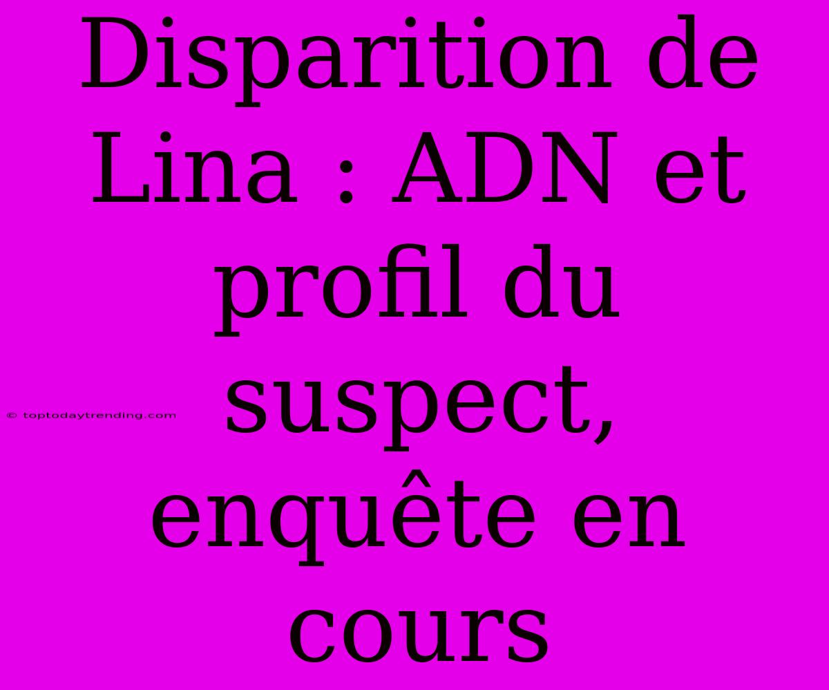 Disparition De Lina : ADN Et Profil Du Suspect, Enquête En Cours