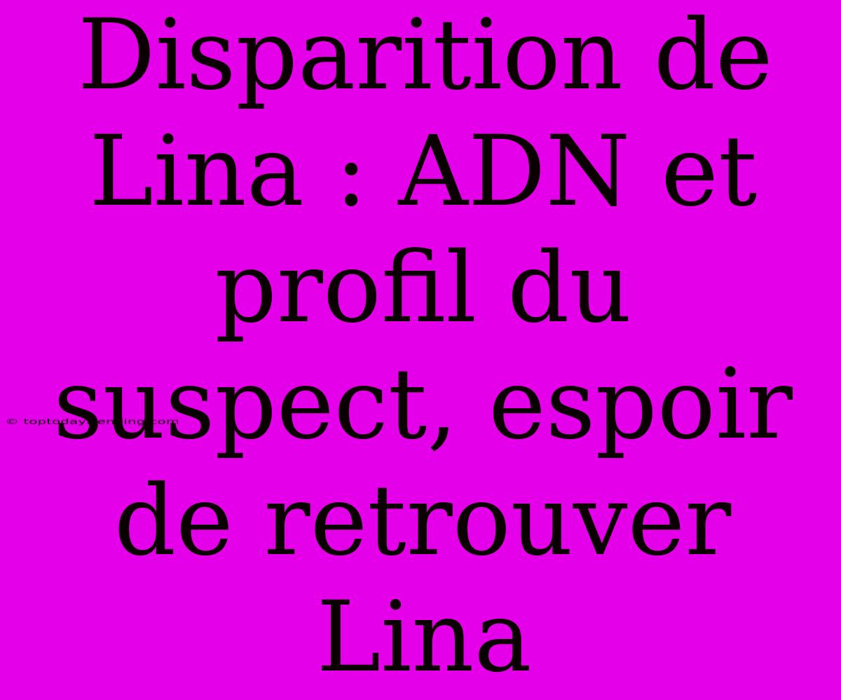 Disparition De Lina : ADN Et Profil Du Suspect, Espoir De Retrouver Lina