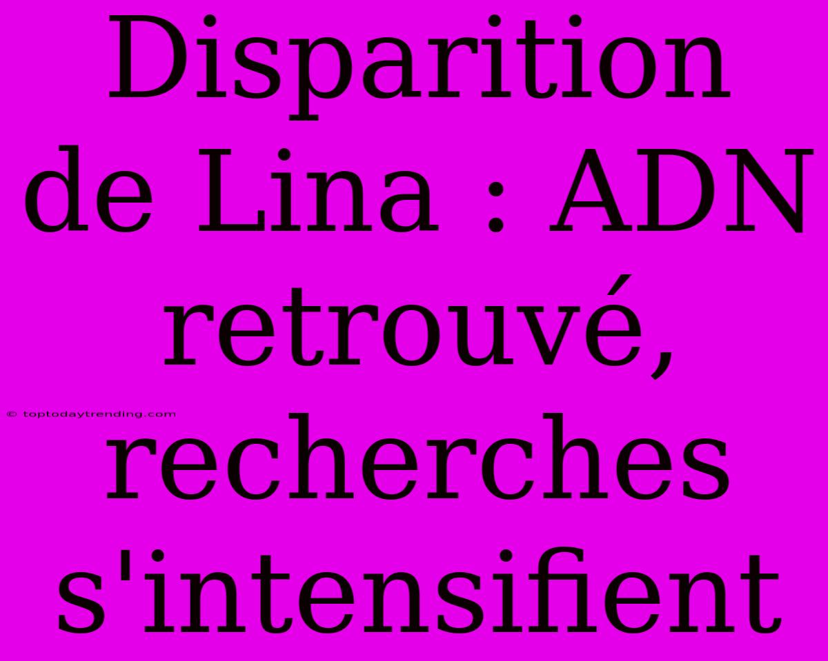 Disparition De Lina : ADN Retrouvé, Recherches S'intensifient