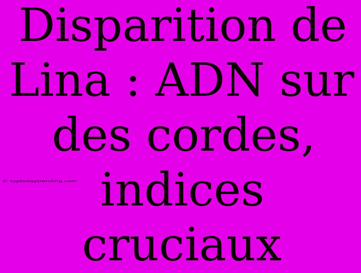 Disparition De Lina : ADN Sur Des Cordes, Indices Cruciaux