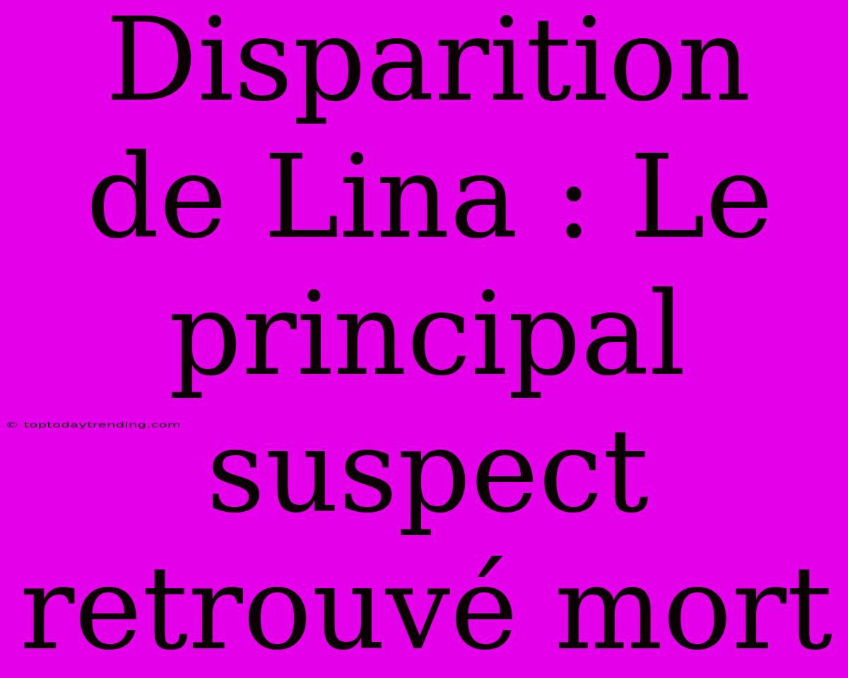 Disparition De Lina : Le Principal Suspect Retrouvé Mort