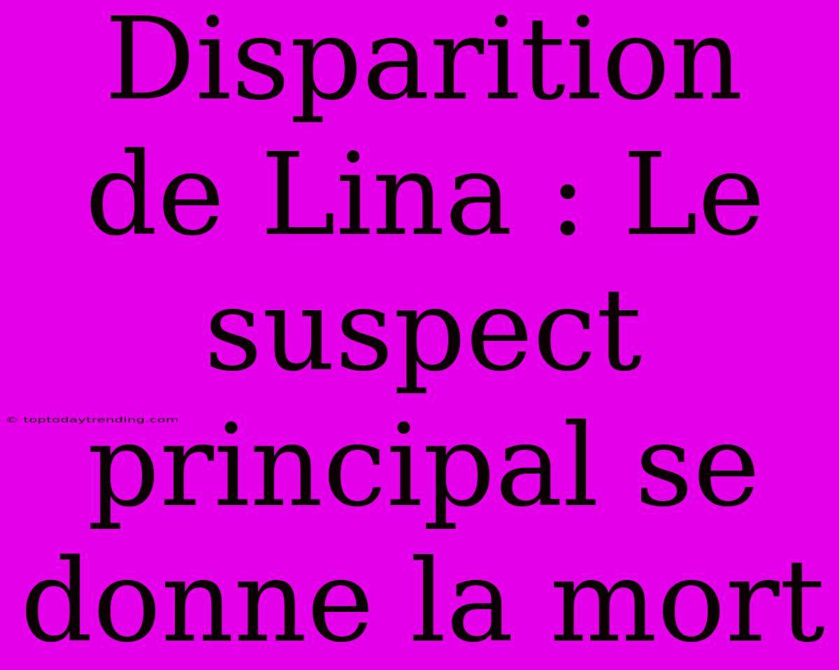 Disparition De Lina : Le Suspect Principal Se Donne La Mort