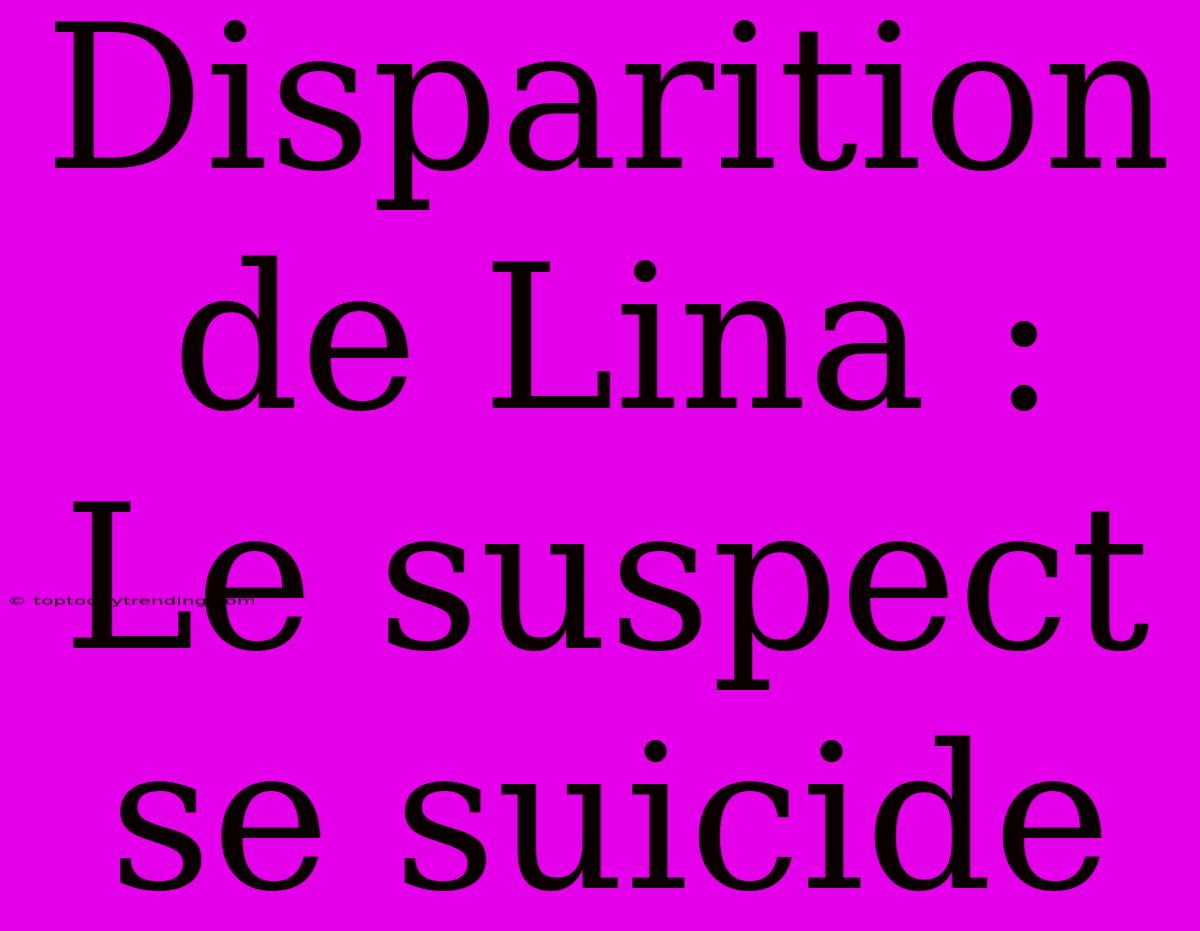 Disparition De Lina : Le Suspect Se Suicide