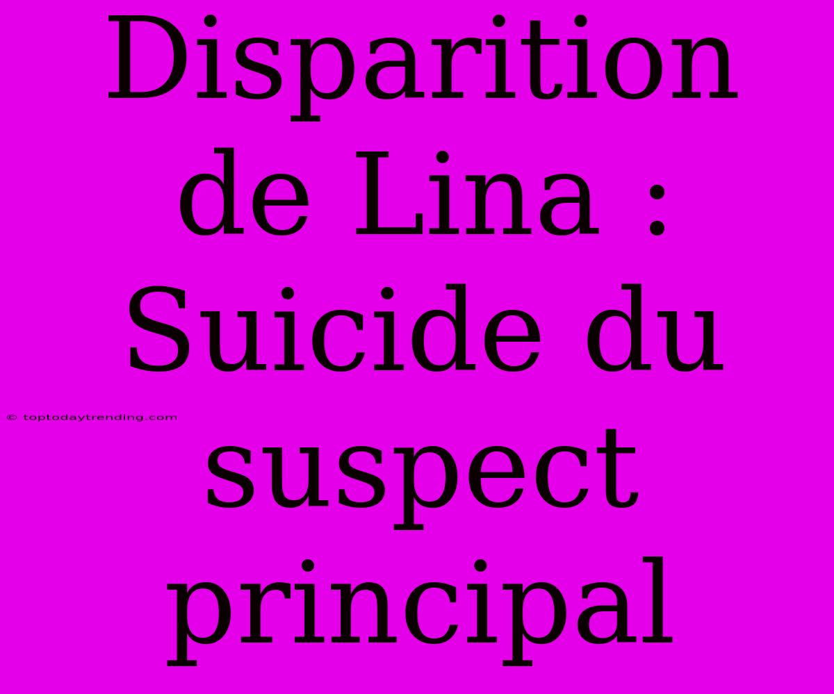 Disparition De Lina : Suicide Du Suspect Principal