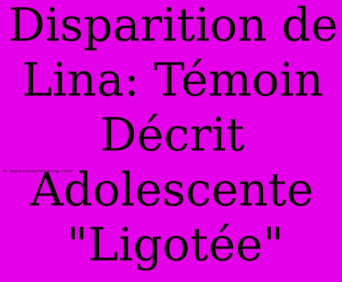 Disparition De Lina: Témoin Décrit Adolescente 