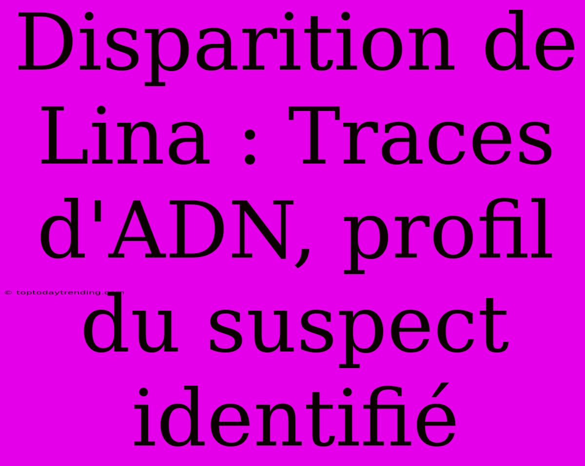 Disparition De Lina : Traces D'ADN, Profil Du Suspect Identifié