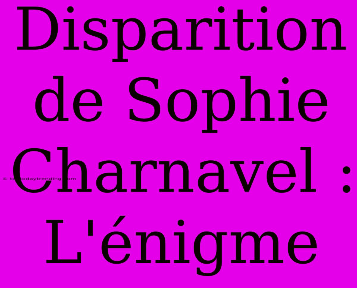 Disparition De Sophie Charnavel : L'énigme