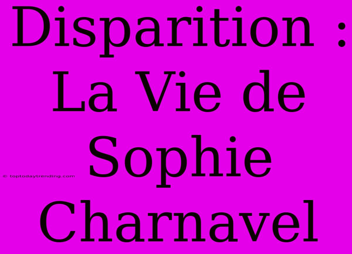 Disparition : La Vie De Sophie Charnavel