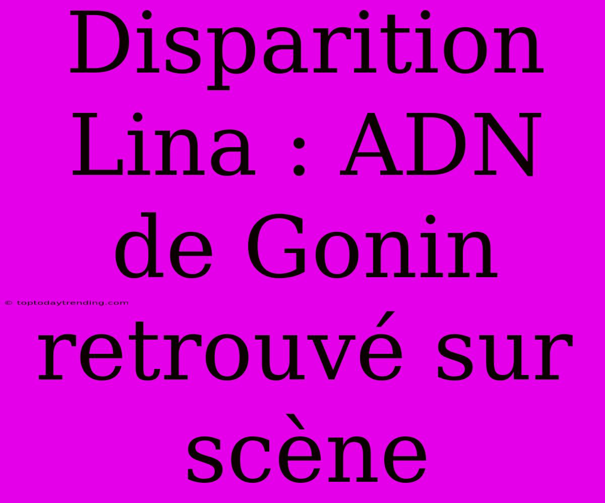 Disparition Lina : ADN De Gonin Retrouvé Sur Scène