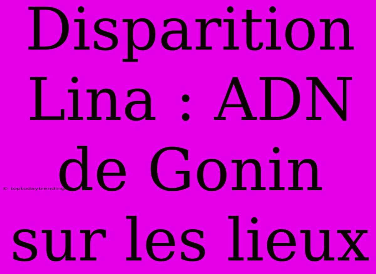 Disparition Lina : ADN De Gonin Sur Les Lieux