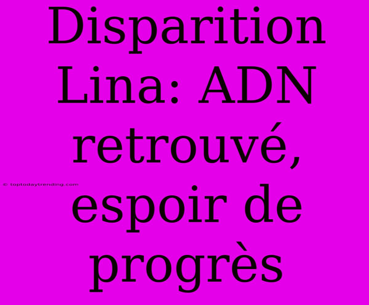 Disparition Lina: ADN Retrouvé, Espoir De Progrès