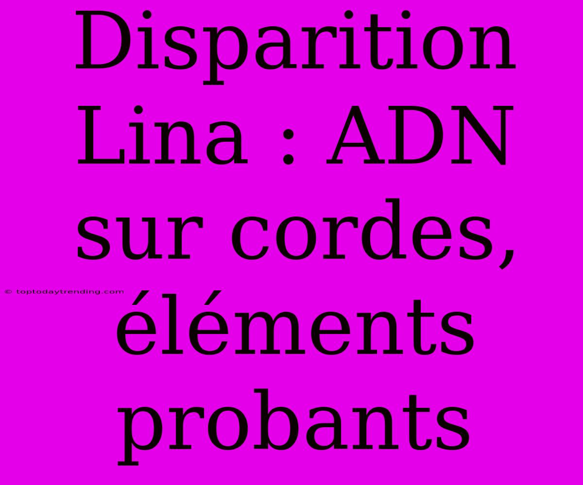 Disparition Lina : ADN Sur Cordes, Éléments Probants