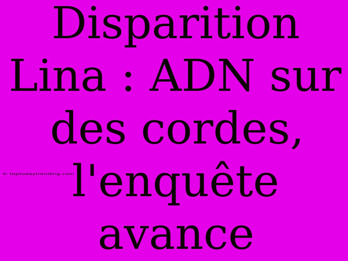 Disparition Lina : ADN Sur Des Cordes, L'enquête Avance