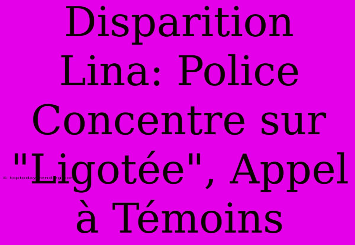 Disparition Lina: Police Concentre Sur 