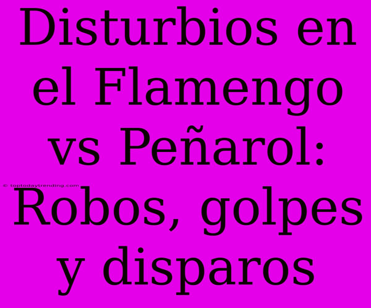 Disturbios En El Flamengo Vs Peñarol: Robos, Golpes Y Disparos