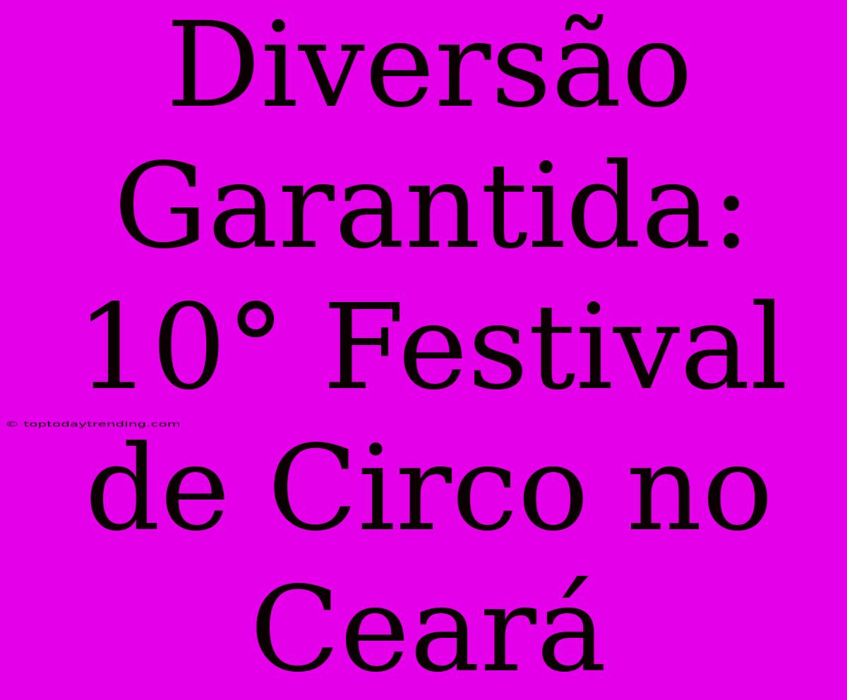 Diversão Garantida: 10° Festival De Circo No Ceará