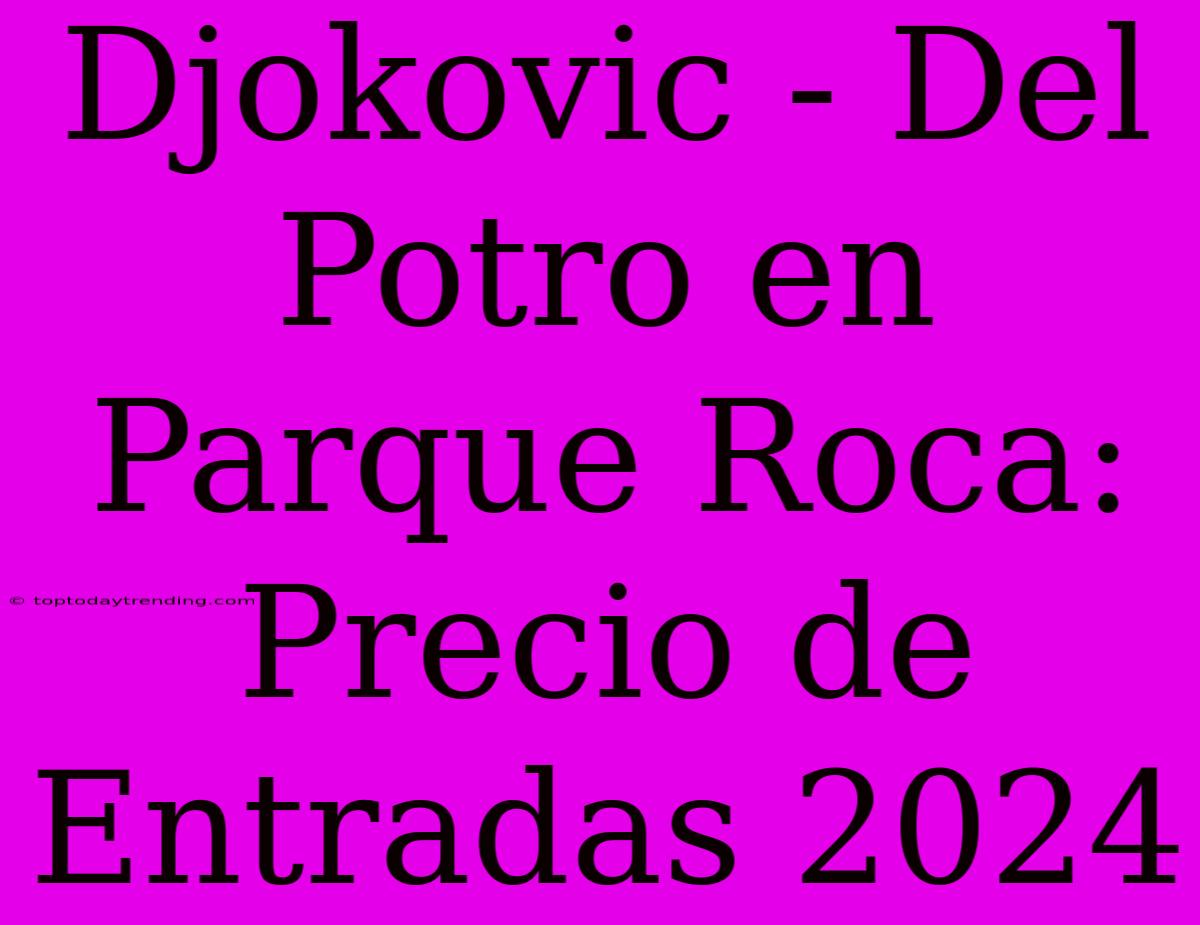 Djokovic - Del Potro En Parque Roca: Precio De Entradas 2024