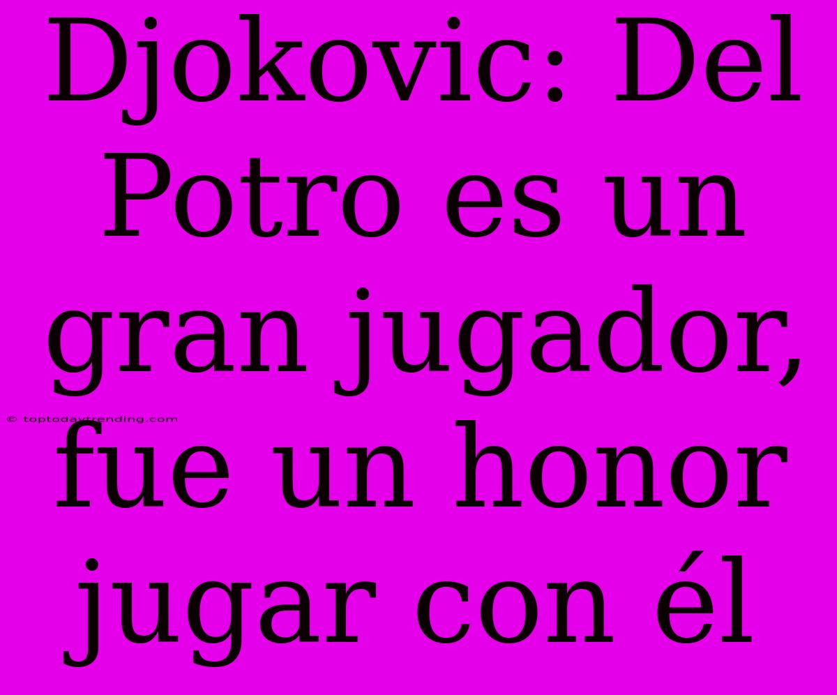 Djokovic: Del Potro Es Un Gran Jugador, Fue Un Honor Jugar Con Él