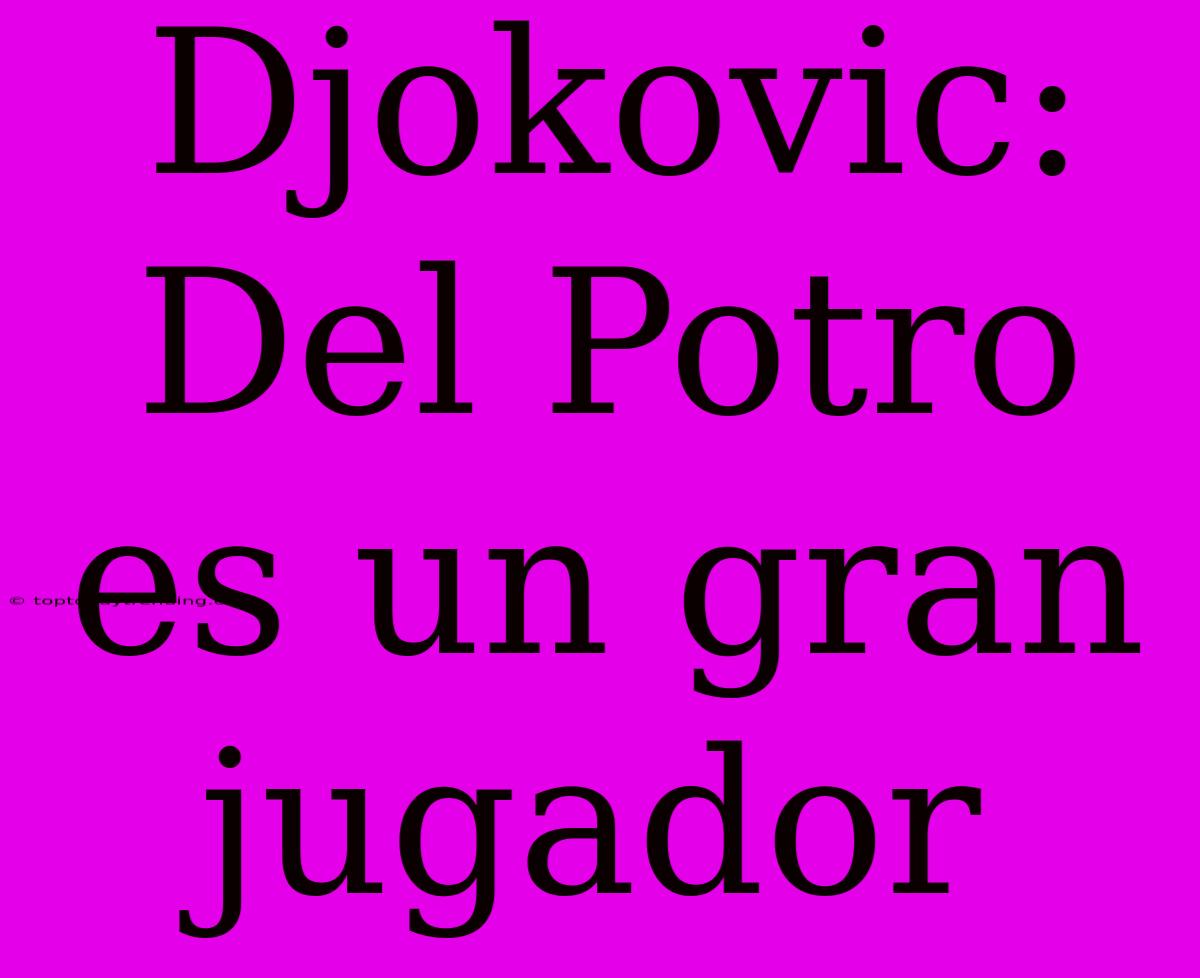 Djokovic: Del Potro Es Un Gran Jugador