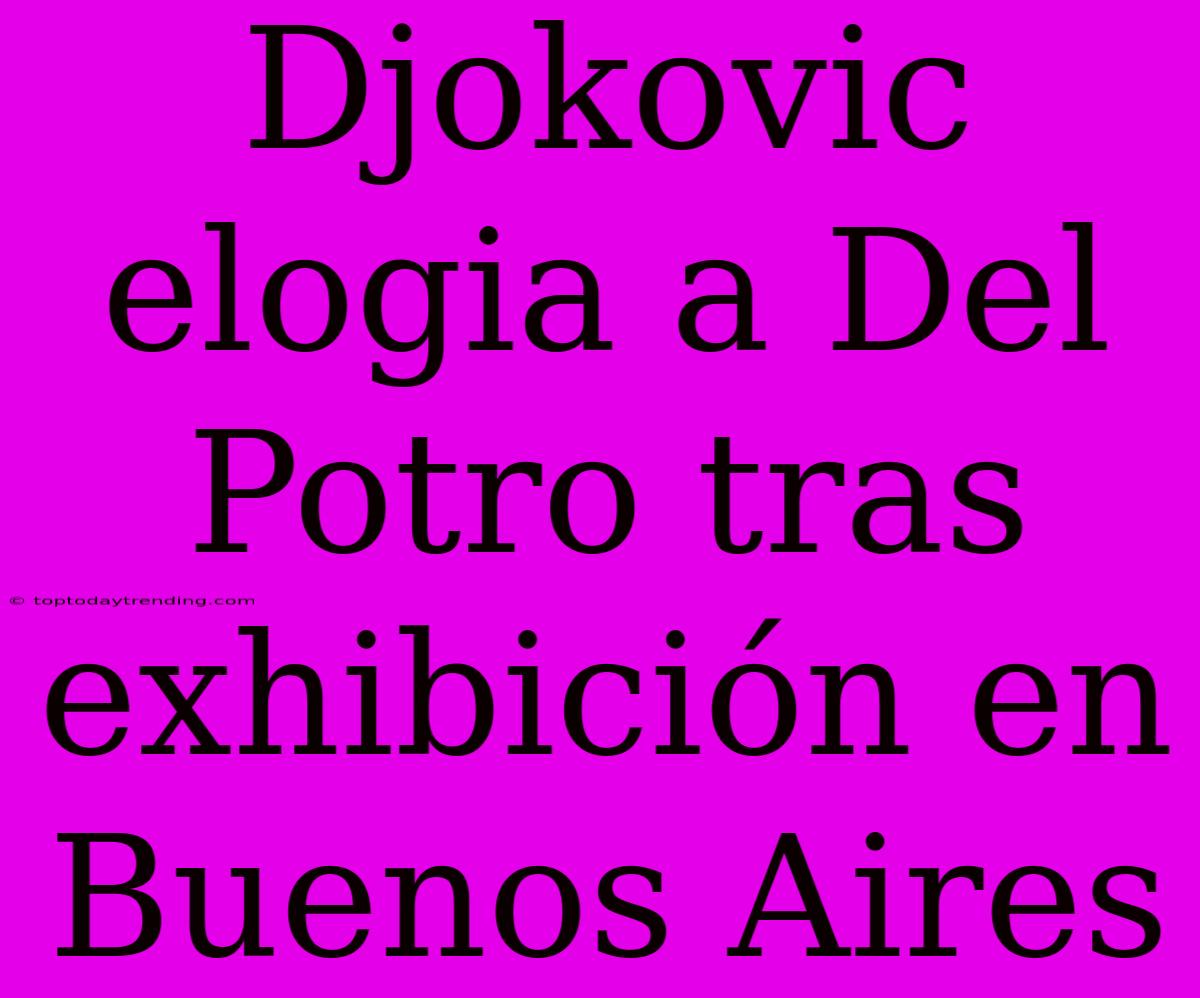 Djokovic Elogia A Del Potro Tras Exhibición En Buenos Aires