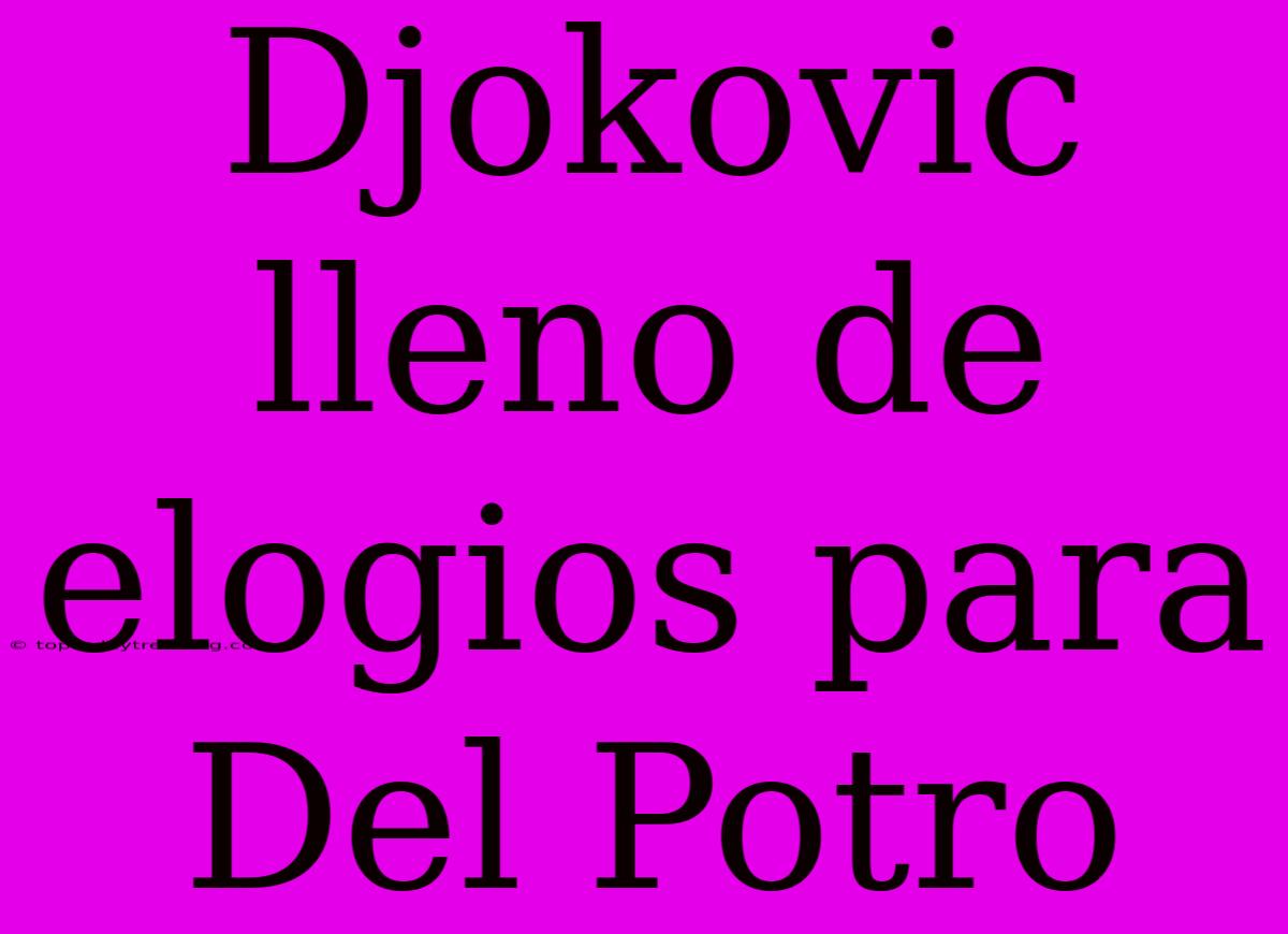 Djokovic Lleno De Elogios Para Del Potro