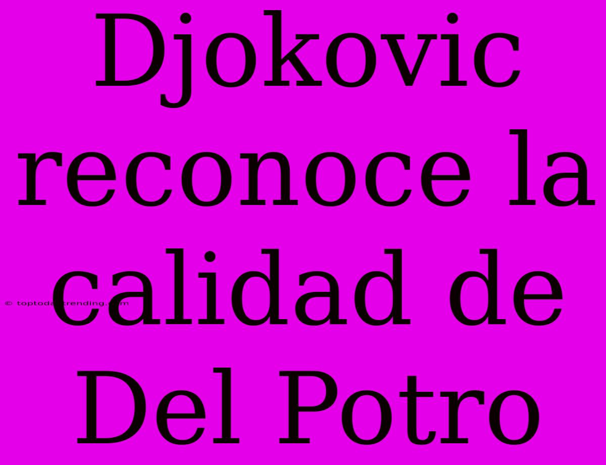 Djokovic Reconoce La Calidad De Del Potro