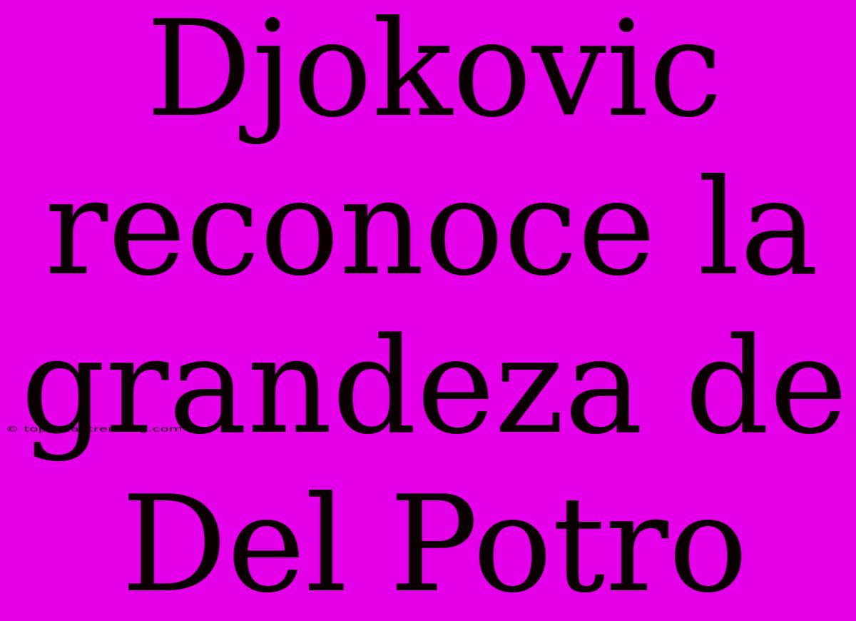 Djokovic Reconoce La Grandeza De Del Potro