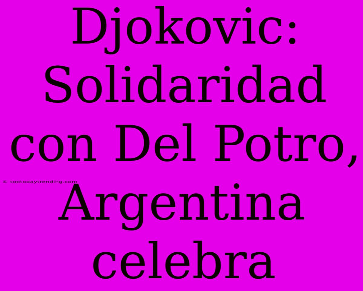 Djokovic: Solidaridad Con Del Potro, Argentina Celebra