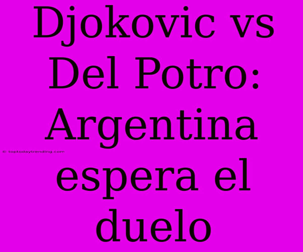 Djokovic Vs Del Potro: Argentina Espera El Duelo