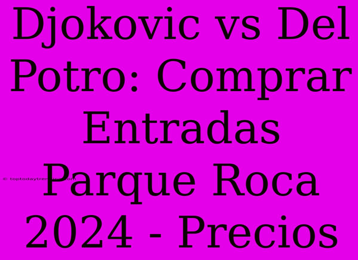 Djokovic Vs Del Potro: Comprar Entradas Parque Roca 2024 - Precios