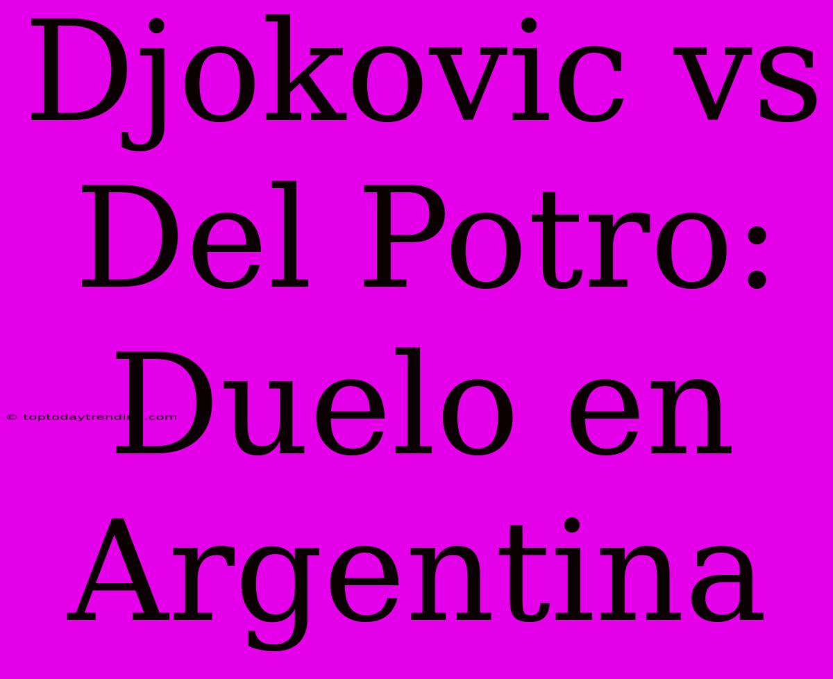 Djokovic Vs Del Potro: Duelo En Argentina