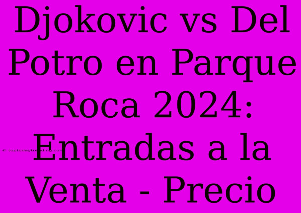 Djokovic Vs Del Potro En Parque Roca 2024: Entradas A La Venta - Precio