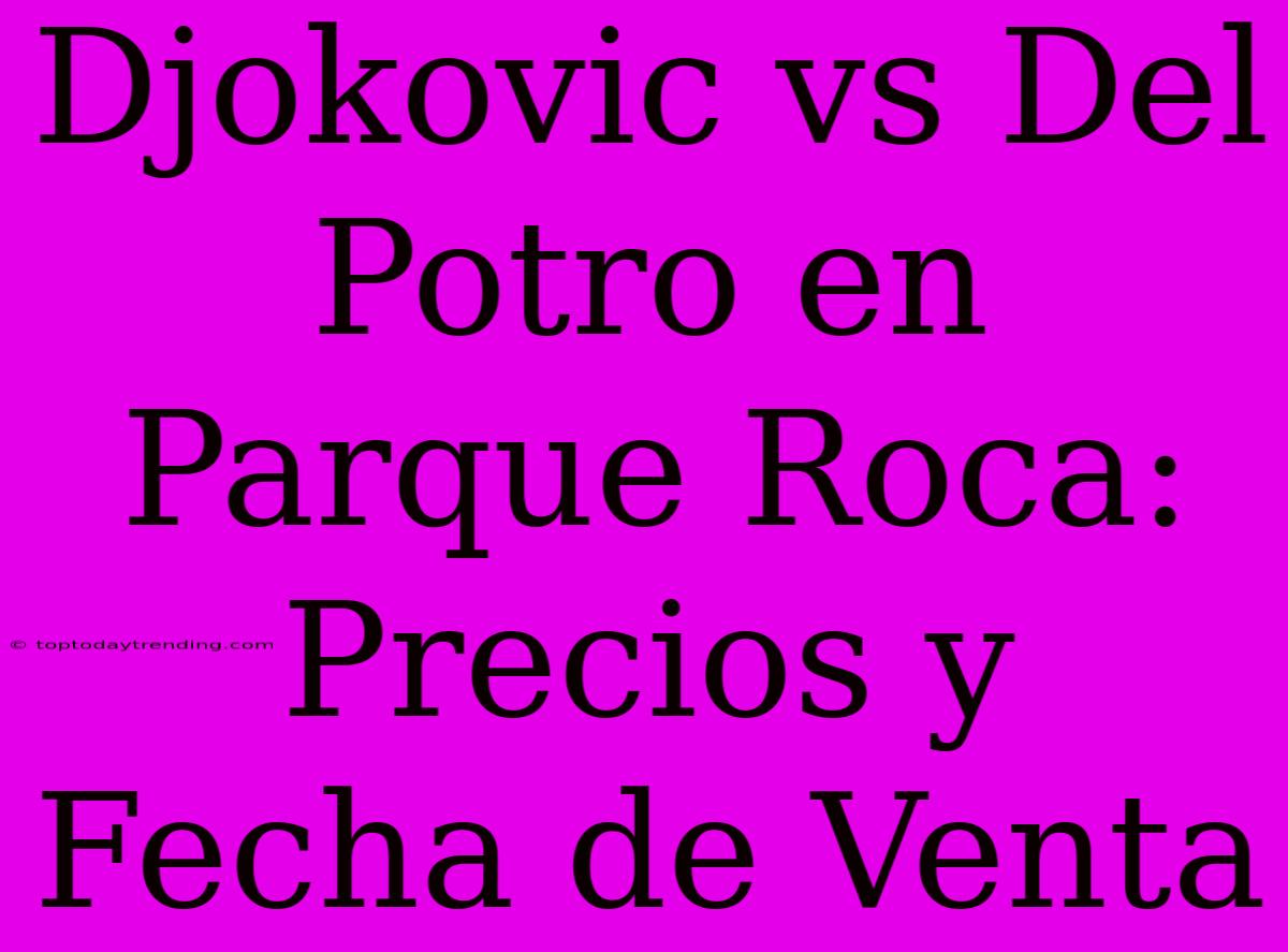 Djokovic Vs Del Potro En Parque Roca: Precios Y Fecha De Venta