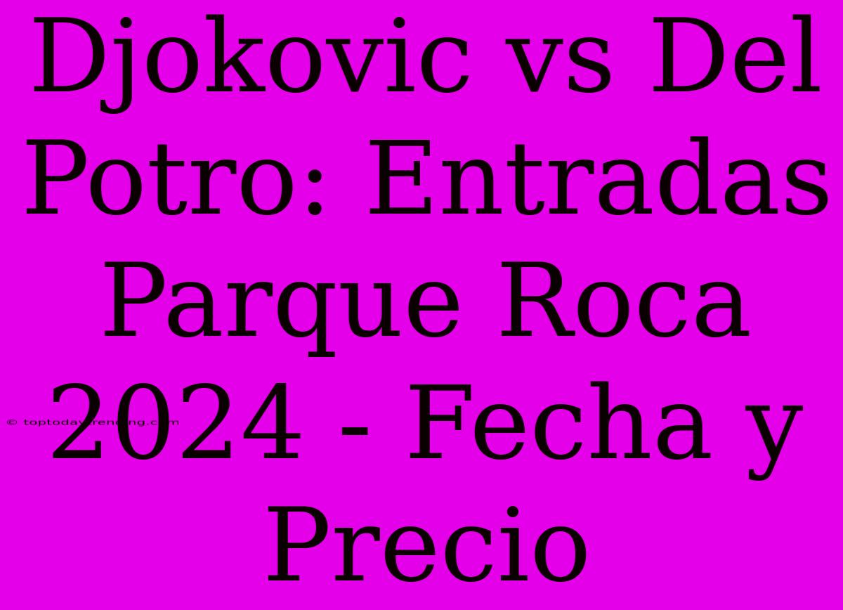 Djokovic Vs Del Potro: Entradas Parque Roca 2024 - Fecha Y Precio