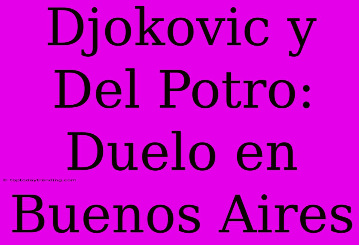 Djokovic Y Del Potro: Duelo En Buenos Aires