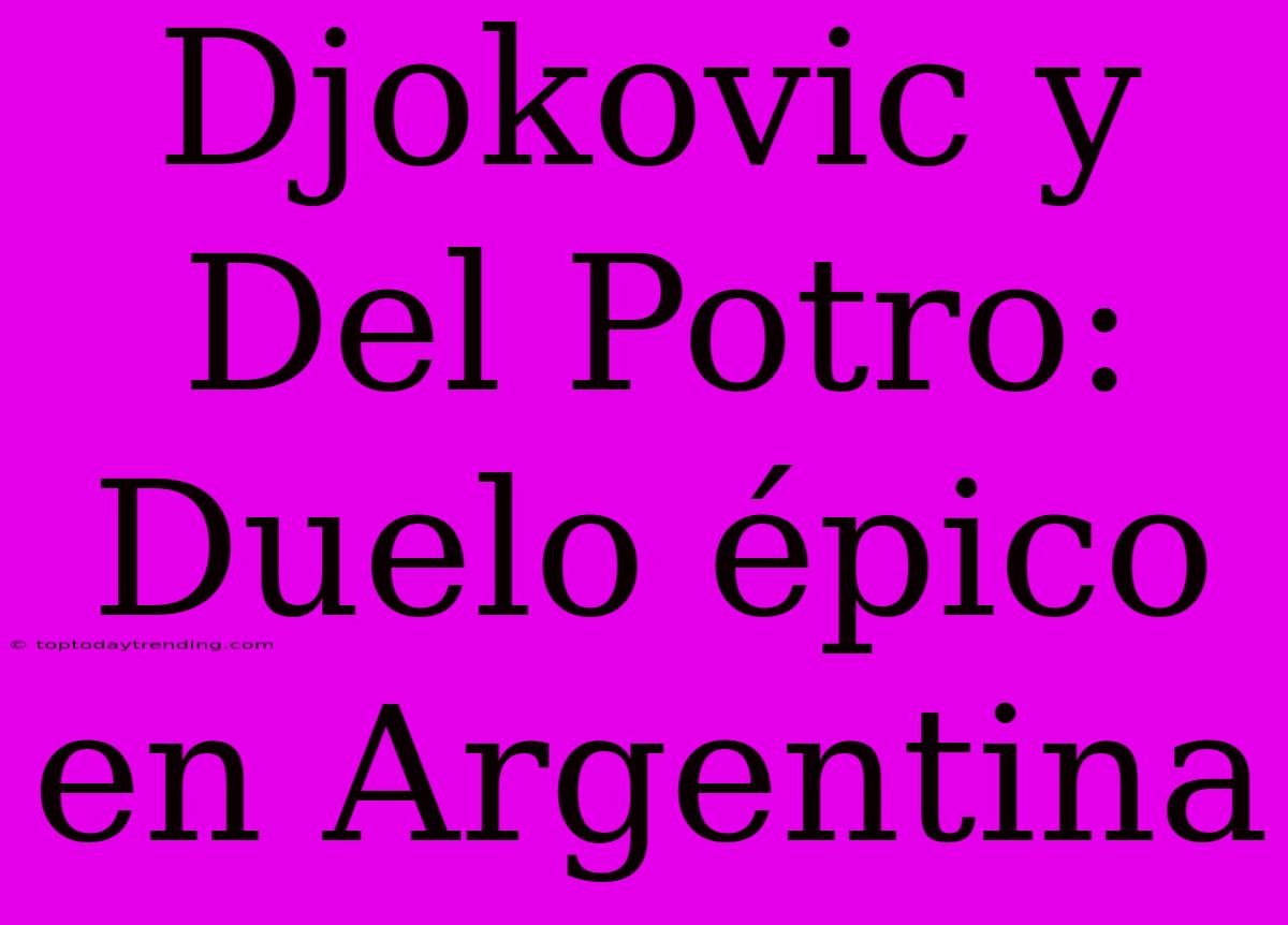 Djokovic Y Del Potro: Duelo Épico En Argentina