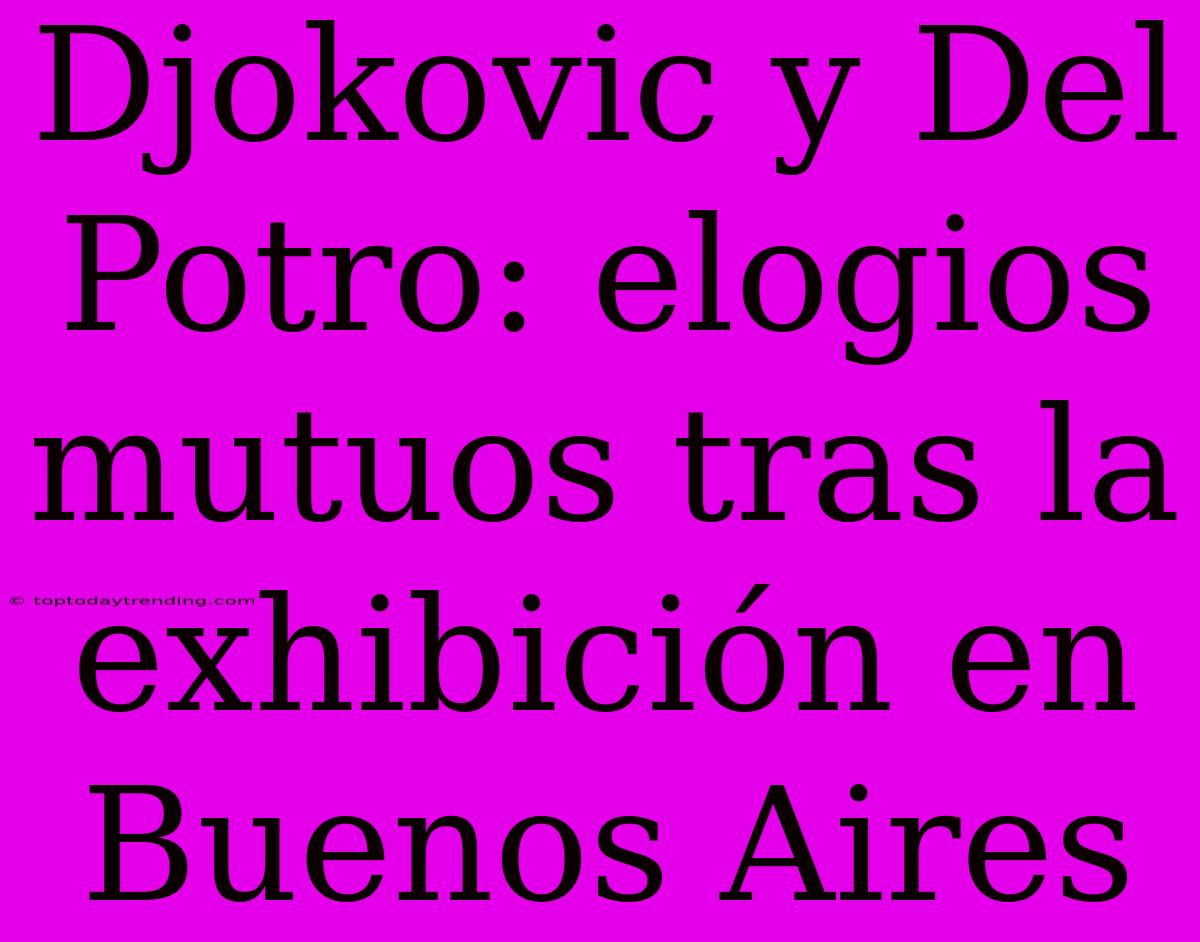 Djokovic Y Del Potro: Elogios Mutuos Tras La Exhibición En Buenos Aires