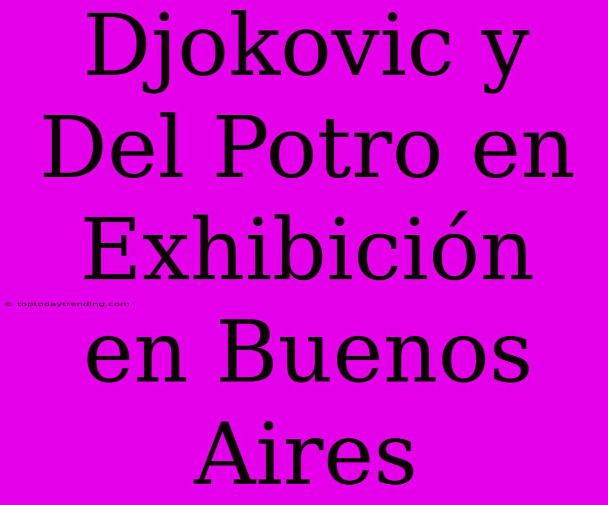 Djokovic Y Del Potro En Exhibición En Buenos Aires