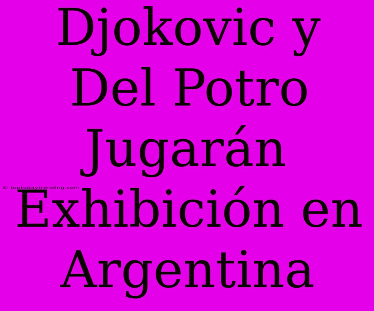 Djokovic Y Del Potro Jugarán Exhibición En Argentina