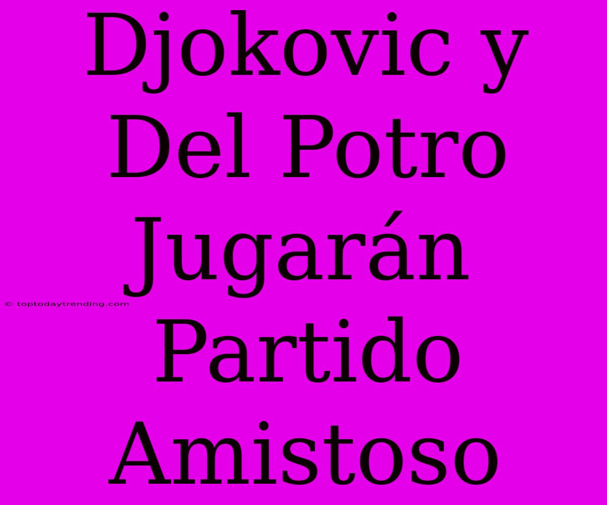 Djokovic Y Del Potro Jugarán Partido Amistoso