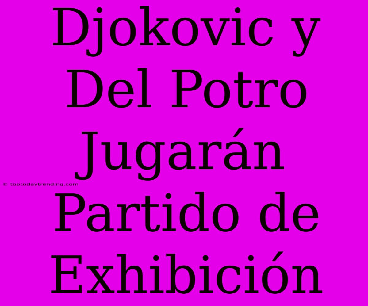 Djokovic Y Del Potro Jugarán Partido De Exhibición