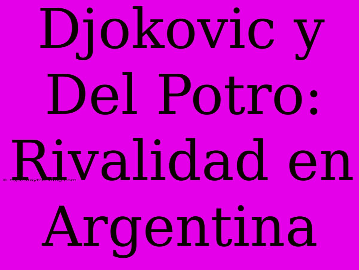 Djokovic Y Del Potro: Rivalidad En Argentina