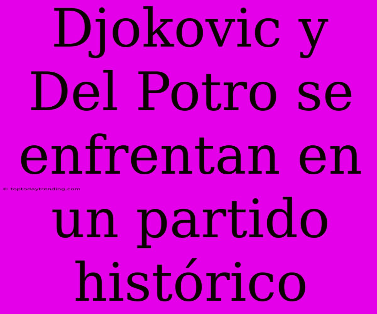 Djokovic Y Del Potro Se Enfrentan En Un Partido Histórico