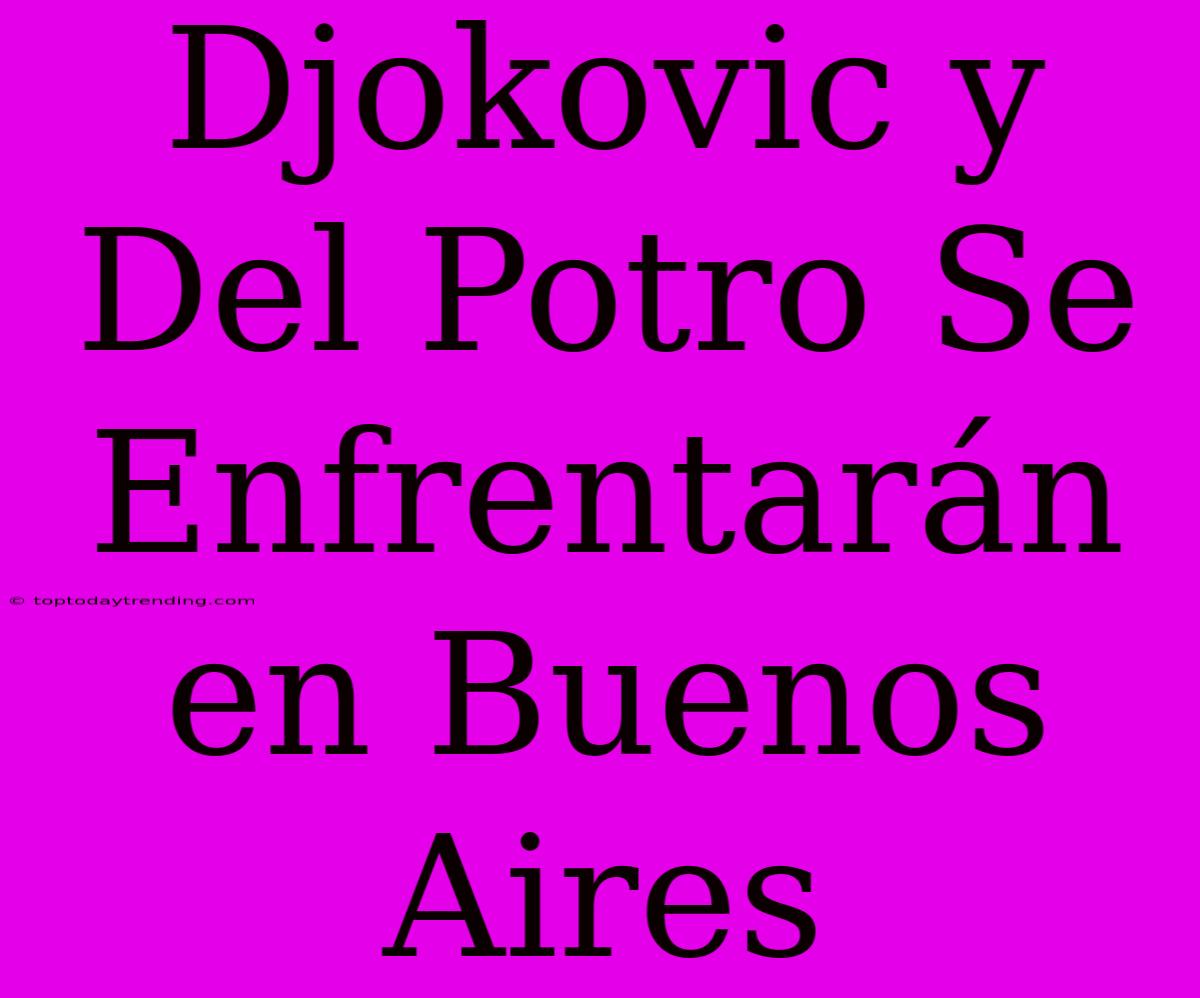 Djokovic Y Del Potro Se Enfrentarán En Buenos Aires