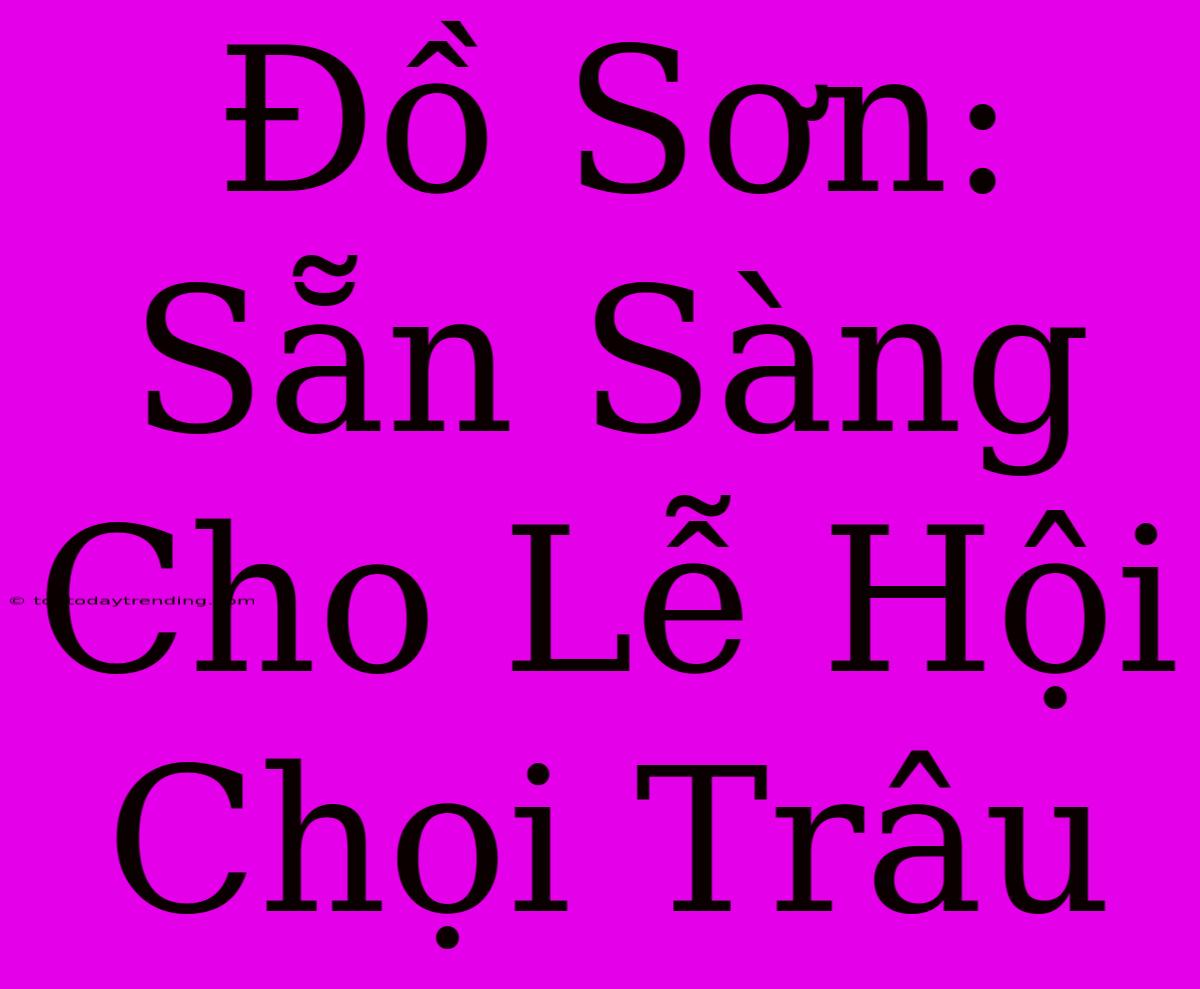 Đồ Sơn: Sẵn Sàng Cho Lễ Hội Chọi Trâu