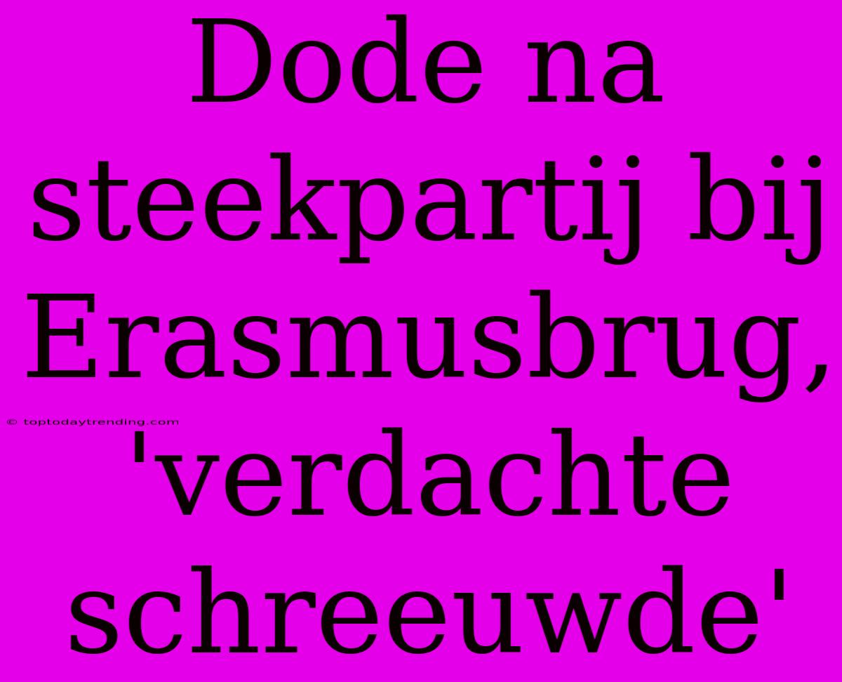 Dode Na Steekpartij Bij Erasmusbrug, 'verdachte Schreeuwde'