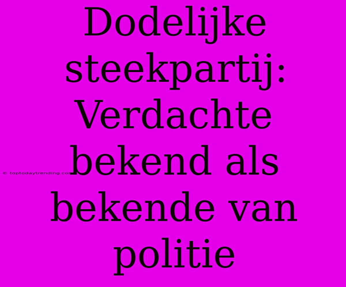 Dodelijke Steekpartij: Verdachte Bekend Als Bekende Van Politie