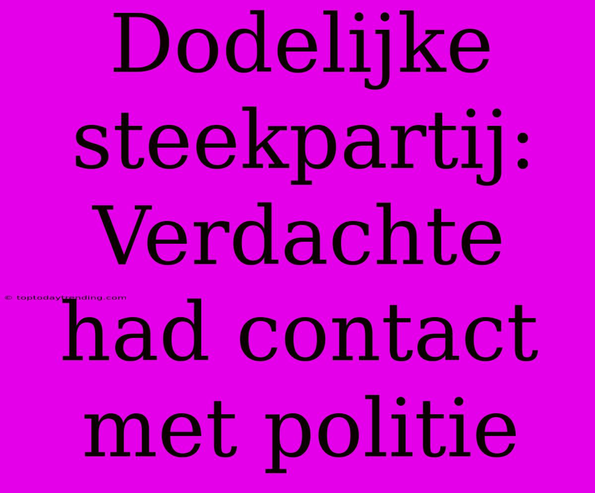 Dodelijke Steekpartij: Verdachte Had Contact Met Politie