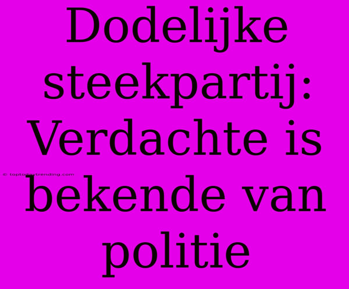 Dodelijke Steekpartij: Verdachte Is Bekende Van Politie